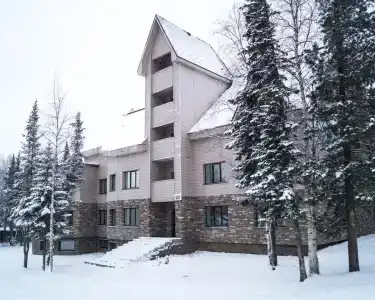 Гринберг - 2