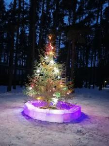 Осетровский пруд - 13