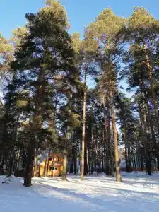 Осетровский пруд - 16