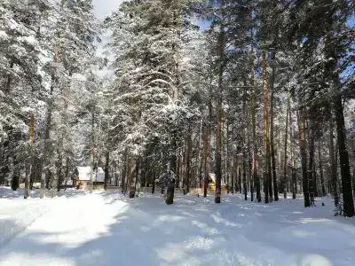 Осетровский пруд - 17