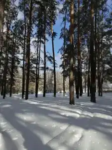 Осетровский пруд - 18