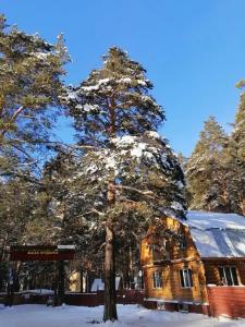Осетровский пруд - 21