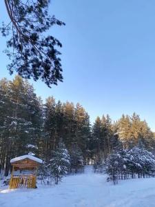 Осетровский пруд - 22
