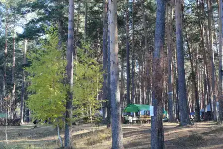 Осетровский пруд - 27
