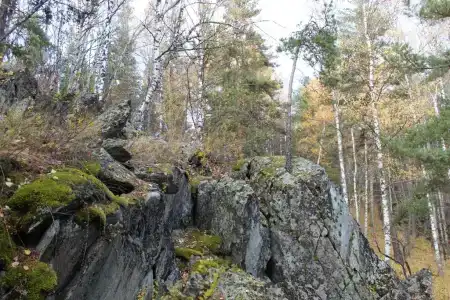 Осетровский пруд - 30
