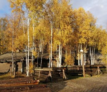 Окулова Заимка - 110