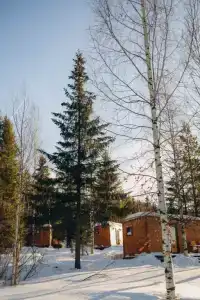 Крепкие кровати - 9