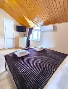 Багира - 36