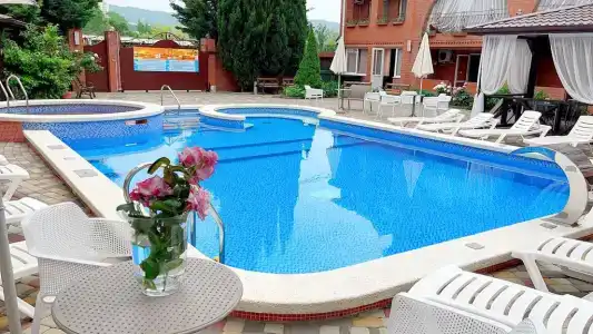 Багира - 50