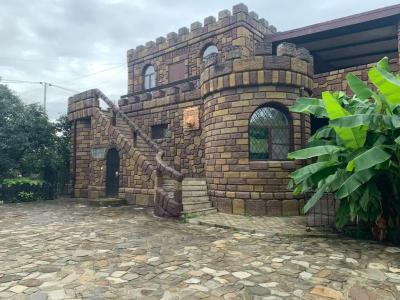 Замок у реки - 0