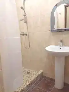 Багира - 110