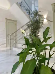 дом «Retro Hall - 10