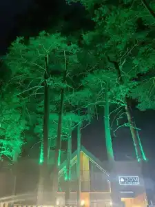 Dom Eco-Hotel - 5
