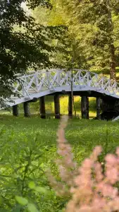 Князь Гвидон - 52