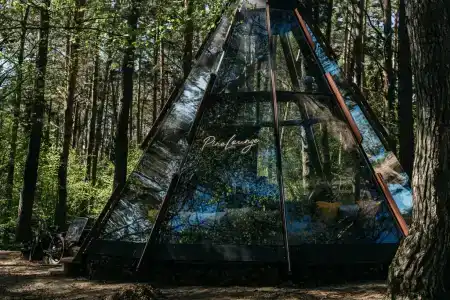 Дачный отель Pine River - 13