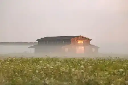 Дачный отель Pine River - 23