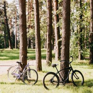 Дачный отель Pine River - 24