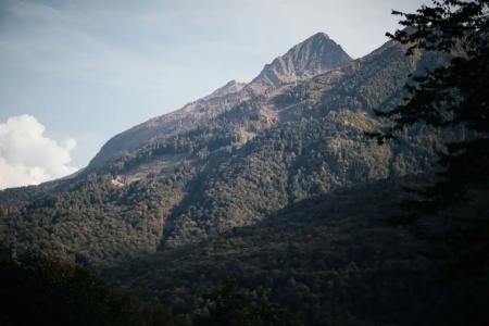 Pine River - 11
