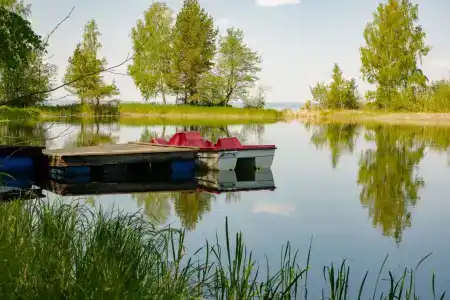 Берег Грифона - 122
