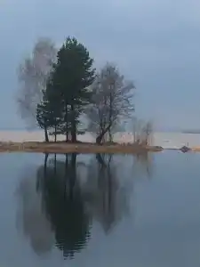 Берег Грифона - 142