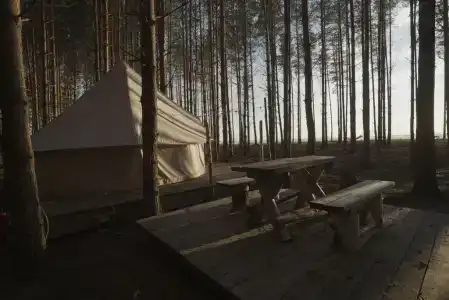 Берег Грифона - 157