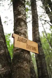 Берег Грифона - 177