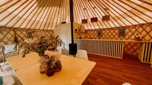 Yurt-resort - 4