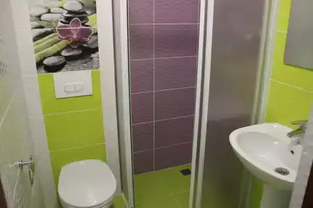 Каштан - 18