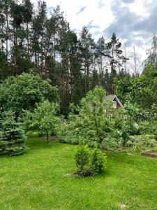 ОптинаДОМ - 4