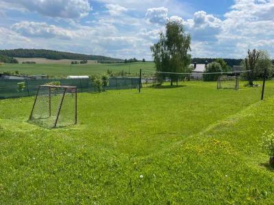 Два Бусла - 8