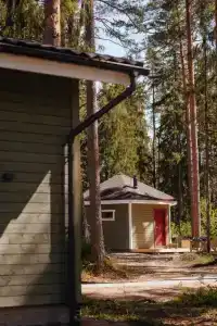 Волшебный Лес - 7