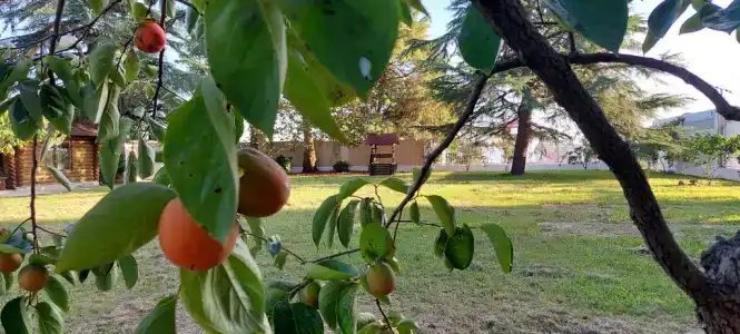 Kate Village - 3