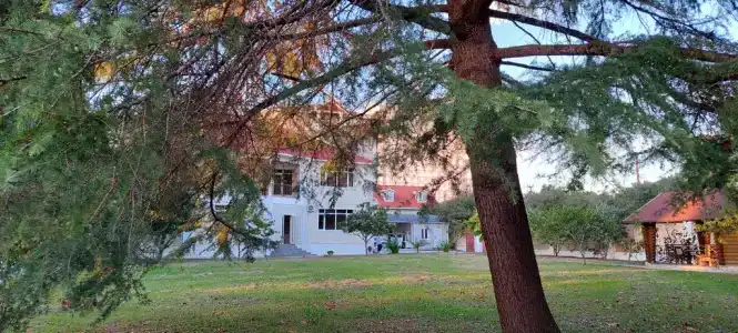 Kate Village - 6