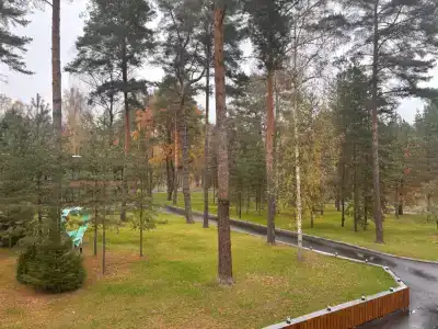 Лесная Ласточка - 10