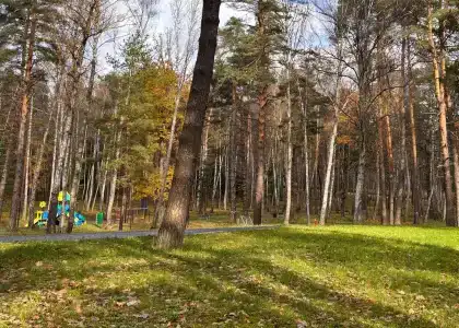 Лесная Ласточка - 36