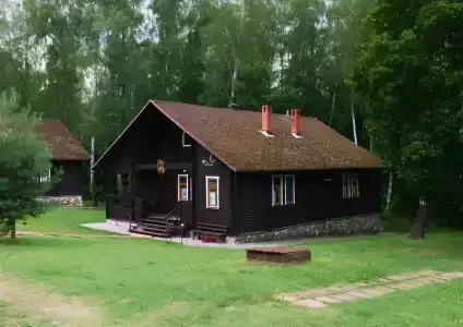 Чайка - 1