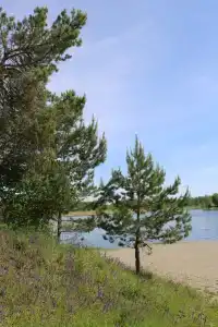 База отдыха УткульРФ - 22