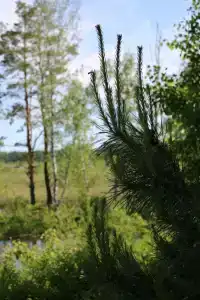 База отдыха УткульРФ - 35