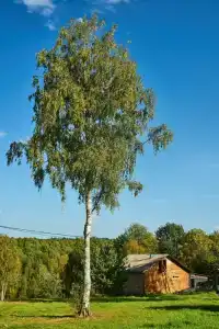 Марциальные ключи - 7