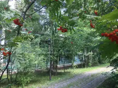 Дачная резиденция - 3