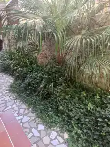 Лунный Берег - Бонжур - 5