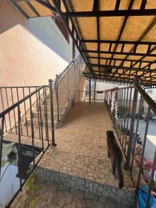 Лунный Берег - Бонжур - 7