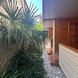 Лунный Берег - Бонжур - 10