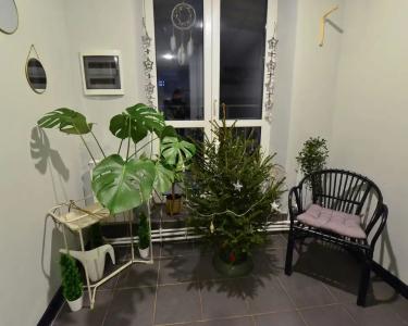 Scandi House - 16