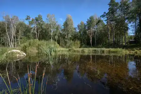 Хутор Vilppula - 115