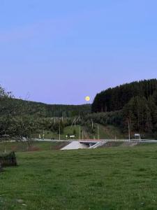 Родина - 5