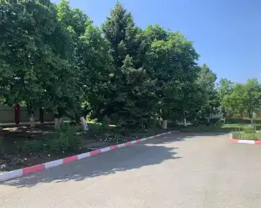 Элит - 6