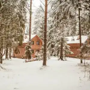 Тридевятое Царство - 7