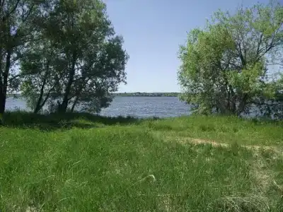 Алина - 5