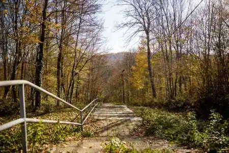 Горный Воздух - 2